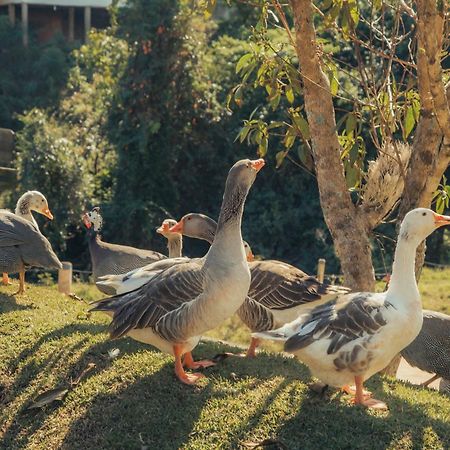 Hotel Chales Capitanias Águas de Lindóia Eksteriør bilde